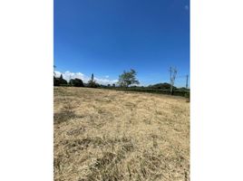  Land for sale in Pereira, Risaralda, Pereira