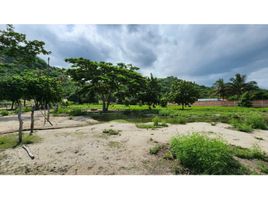  Land for sale in Magdalena, Santa Marta, Magdalena