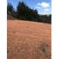  Land for sale in San Vicente, Antioquia, San Vicente
