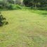  Land for sale in Caldas, Manizales, Caldas