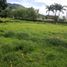  Land for sale in Caldas, Manizales, Caldas