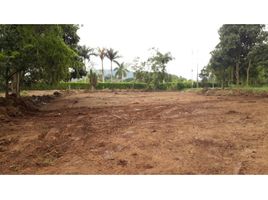  Land for sale in Caldas, Manizales, Caldas