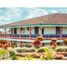 20 Schlafzimmer Haus zu vermieten in Montenegro, Quindio, Montenegro