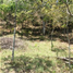  Terrain for sale in San Jeronimo, Antioquia, San Jeronimo