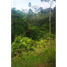  Land for sale in Valle Del Cauca, Jamundi, Valle Del Cauca