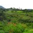  Land for sale in Girardota, Antioquia, Girardota