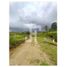  Land for sale in Cauca, Sotara, Cauca