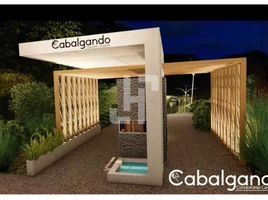  Land for sale in Cauca, Sotara, Cauca