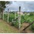  Land for sale in Cauca, Popayan, Cauca