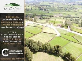  Terreno (Parcela) en venta en San Pedro De Los Milagros, Antioquia, San Pedro De Los Milagros