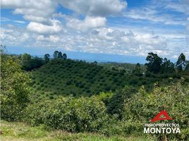 Estudio Casa en venta en Colombia, Pereira, Risaralda, Colombia