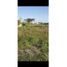  Terrain for sale in Sucre, Tolu, Sucre