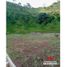  Terreno (Parcela) en venta en Pereira, Risaralda, Pereira