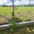  Land for sale in Monteria, Cordoba, Monteria