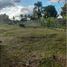  Land for sale in Monteria, Cordoba, Monteria