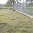  Land for sale in Monteria, Cordoba, Monteria