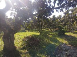  Land for sale in La Mesa, Cundinamarca, La Mesa