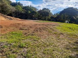  Land for sale in El Carmen De Viboral, Antioquia, El Carmen De Viboral