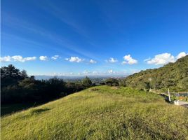  Land for sale in El Carmen De Viboral, Antioquia, El Carmen De Viboral