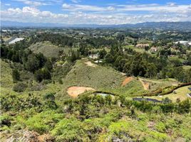  Terreno (Parcela) en venta en Guarne, Antioquia, Guarne