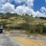  Land for sale in Guarne, Antioquia, Guarne