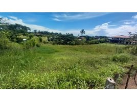  Land for sale in Pereira, Risaralda, Pereira