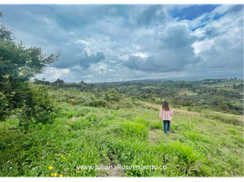  Land for sale in Totoro, Cauca, Totoro