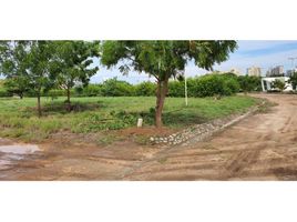  Land for sale in Magdalena, Santa Marta, Magdalena