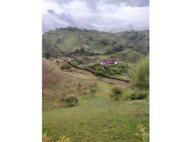  Terreno (Parcela) en venta en Antioquia, Retiro, Antioquia