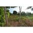  Land for sale in Monteria, Cordoba, Monteria