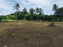  Land for sale in Puerto Escondido, Cordoba, Puerto Escondido