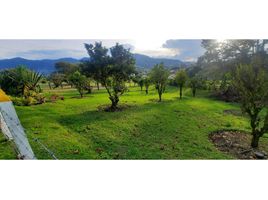  Terreno (Parcela) en venta en Marinilla, Antioquia, Marinilla