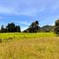  Land for sale in La Ceja, Antioquia, La Ceja