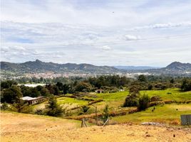  Terreno (Parcela) en venta en La Ceja, Antioquia, La Ceja