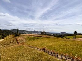  Terreno (Parcela) en venta en La Ceja, Antioquia, La Ceja