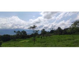  Terreno (Parcela) en venta en La Mesa, Cundinamarca, La Mesa