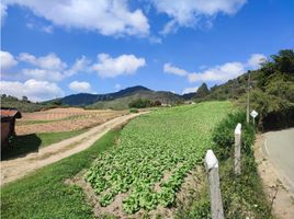 Studio Villa for sale in El Santuario, Antioquia, El Santuario