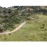  Land for sale in Rionegro, Antioquia, Rionegro