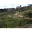  Land for sale in Rionegro, Antioquia, Rionegro