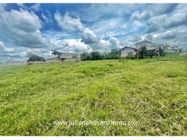  Land for sale in Cauca, Popayan, Cauca