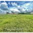  Land for sale in Cauca, Popayan, Cauca