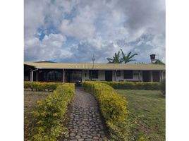 8 Habitación Villa en venta en Urrao, Antioquia, Urrao