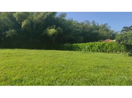  Terreno (Parcela) en venta en Pereira, Risaralda, Pereira