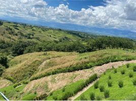  Terreno (Parcela) en venta en Pereira, Risaralda, Pereira