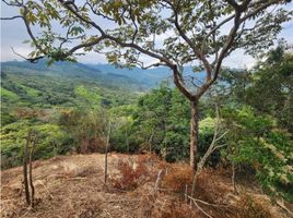  Land for sale in Cali, Valle Del Cauca, Cali