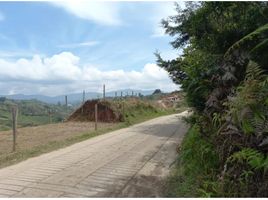  Land for sale in Penol, Antioquia, Penol