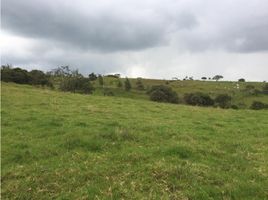  Grundstück zu verkaufen in La Calera, Cundinamarca, La Calera