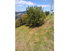  Terreno (Parcela) en venta en La Union De Sucre, Antioquia, La Union De Sucre