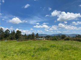  Terreno (Parcela) en venta en La Ceja, Antioquia, La Ceja