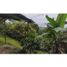  Land for sale in La Mesa, Cundinamarca, La Mesa